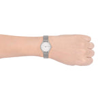 Skagen Women's Signatur Lille Two-Hand Silver Stainless Steel Mesh Band Watch (Model: SKW2692)