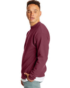 Hanes mens Ecosmart Sweatshirt, Kelly Green, 4X-Large US