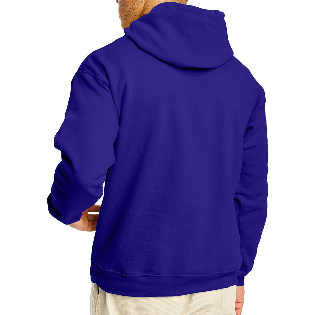 Hanes Men's Pullover EcoSmart Hooded Sweatshirt, purple, 4X Large