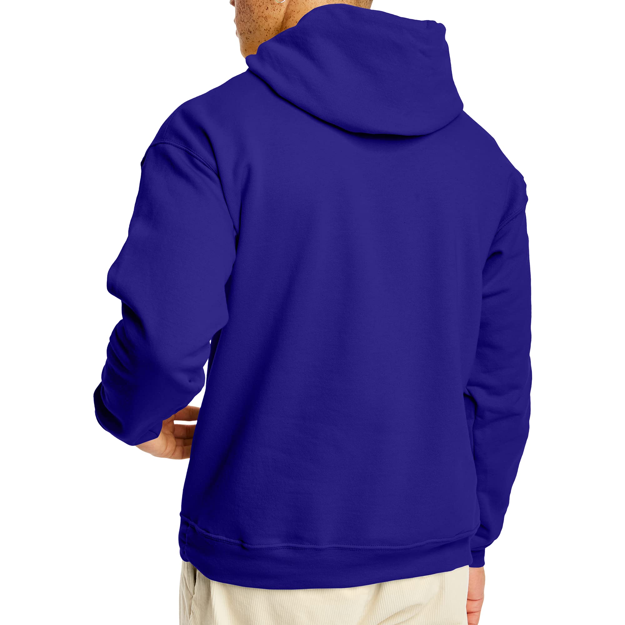 Hanes Men's Pullover EcoSmart Hooded Sweatshirt, purple, 4X Large