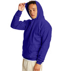 Hanes Men's Pullover EcoSmart Hooded Sweatshirt, purple, 4X Large