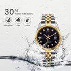 BUREI Men's Luxury Automatic Watch Two Tones Stainless Steel Dress Wrist Watches Self-Winding