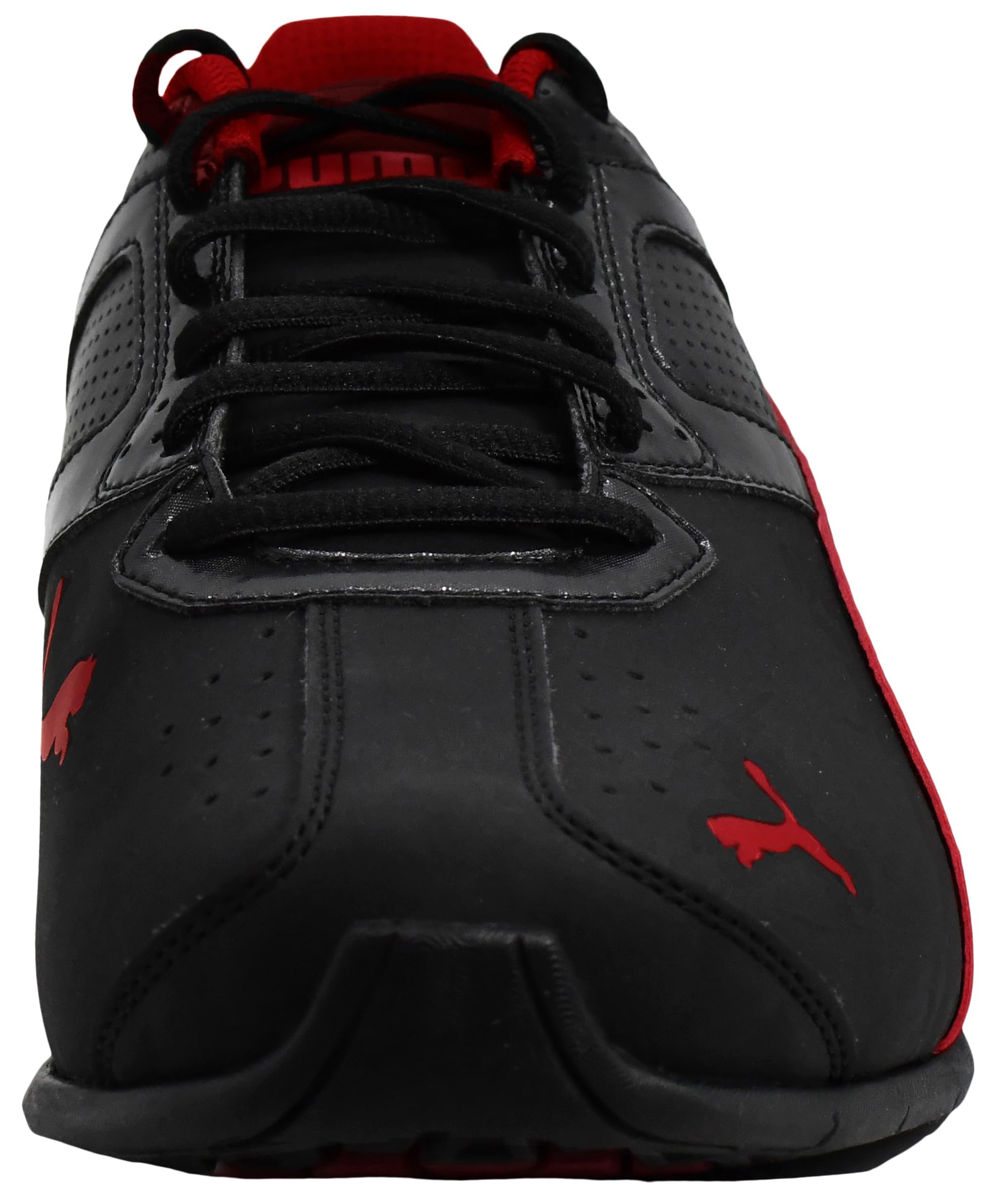 PUMA Men's Tazon 6 FM Shoes, PUMA Black/Red Dahlia, 12 M