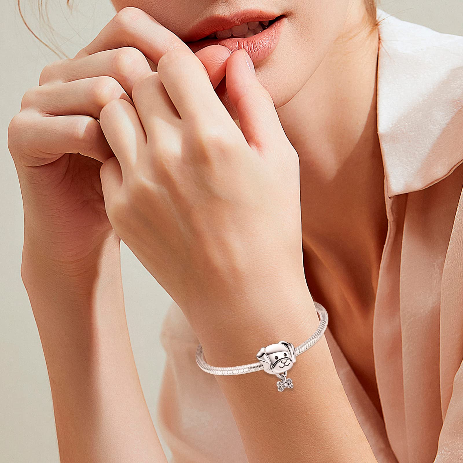 Annmors Animal Charms 925 Sterling Silver Love Pet Dog Charm with Cubic Zirconia for Dog Lovers fit Women Bracelet & Necklace,Ch