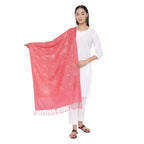 Pashmoda Women Shahkaar Pure Wool Aari Embroidered Kashmiri Stole (Size 71X203 Cm)