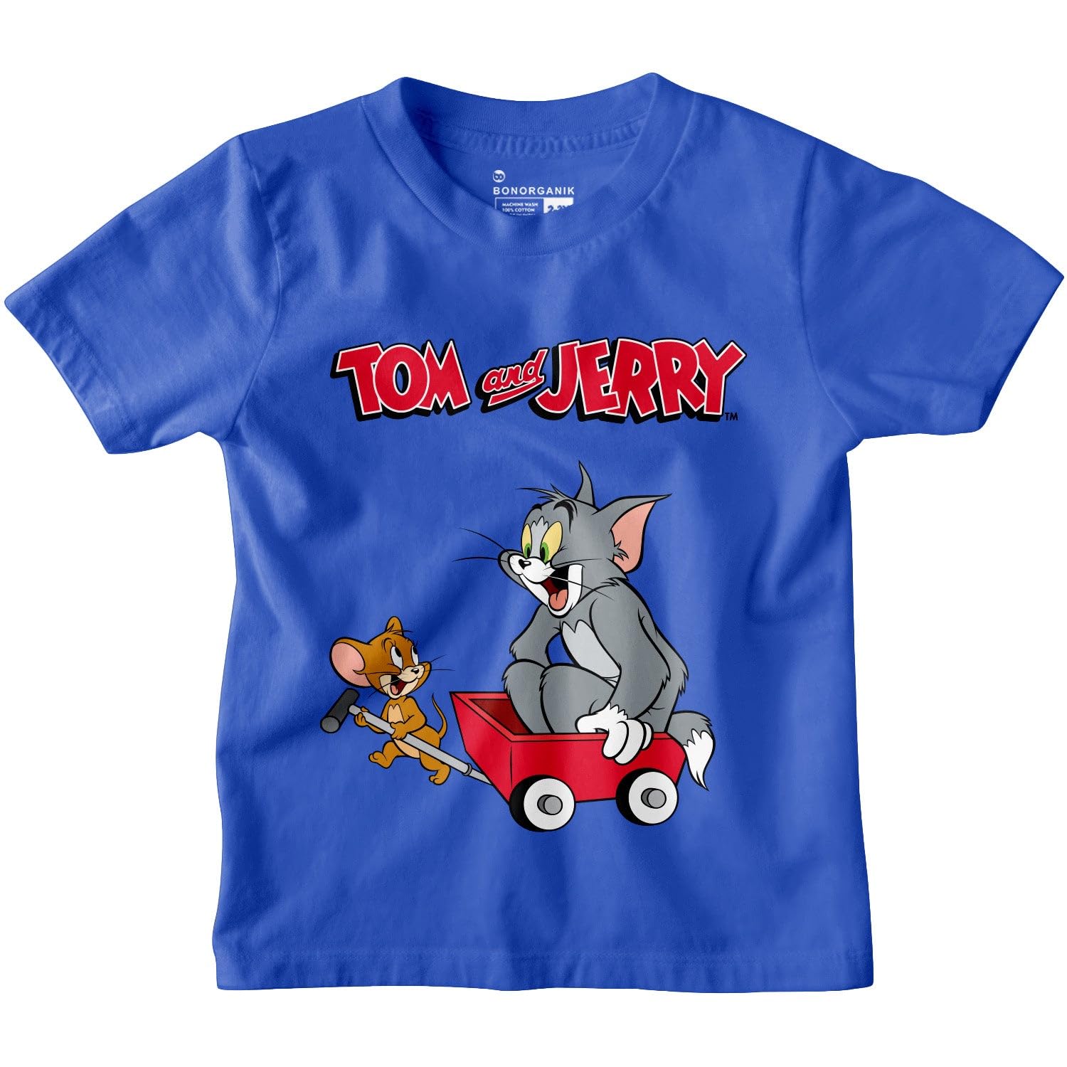 Bon Organik Boys Regular Fit T-Shirt (BON11237_Multi