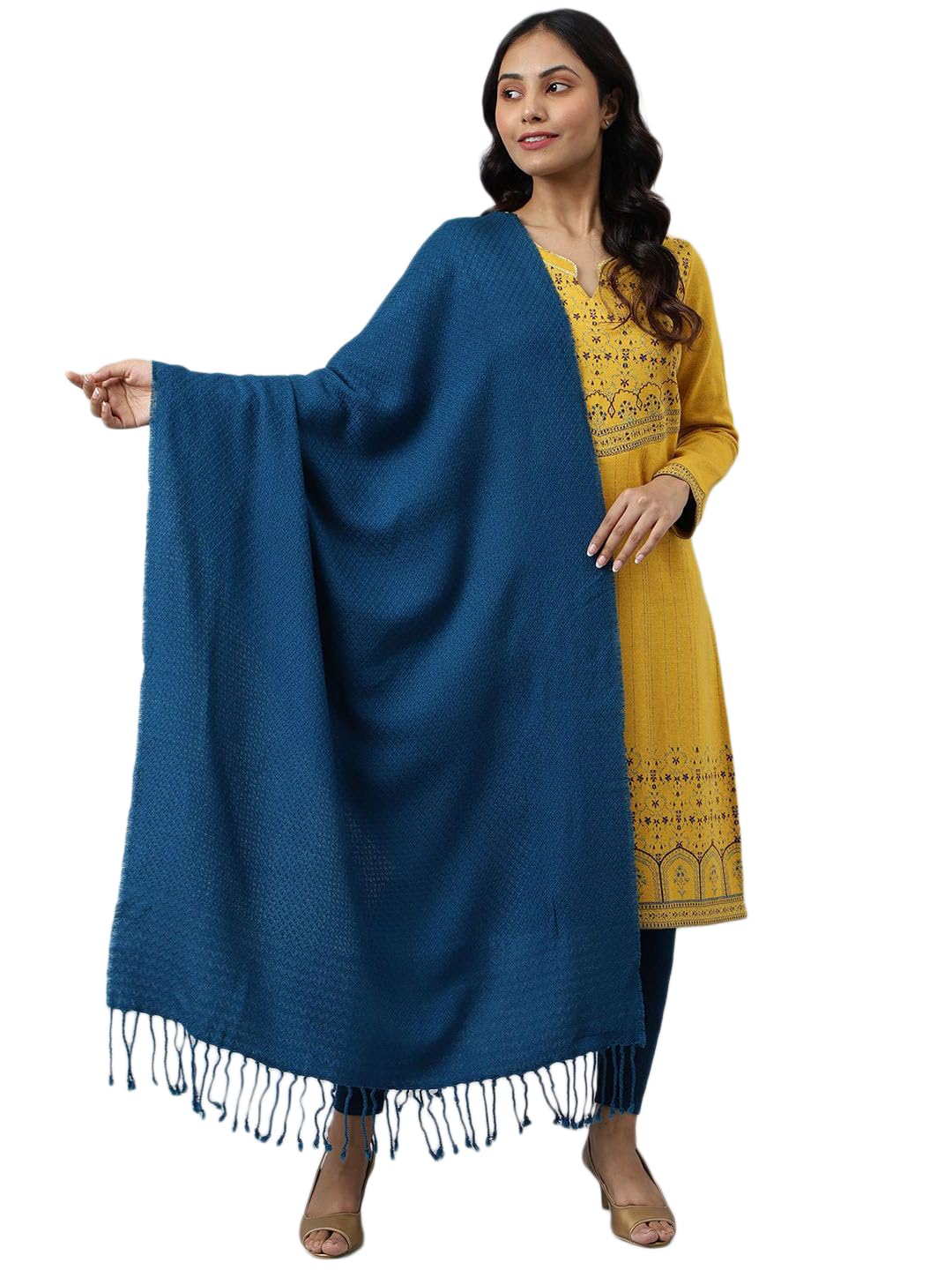 Blue Acrylic Yarn-Dyed WomenS Shawl (Size: Free Size)-24NOA80037-604250