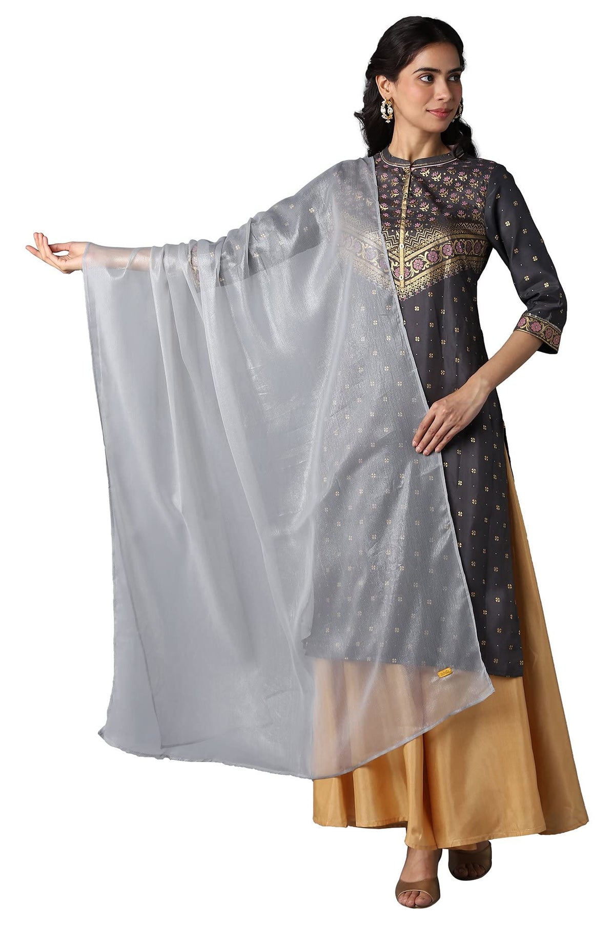 Aurelia Silver Ethnic Printed Dupatta (Size: Freesize)-23Cra80002-501333