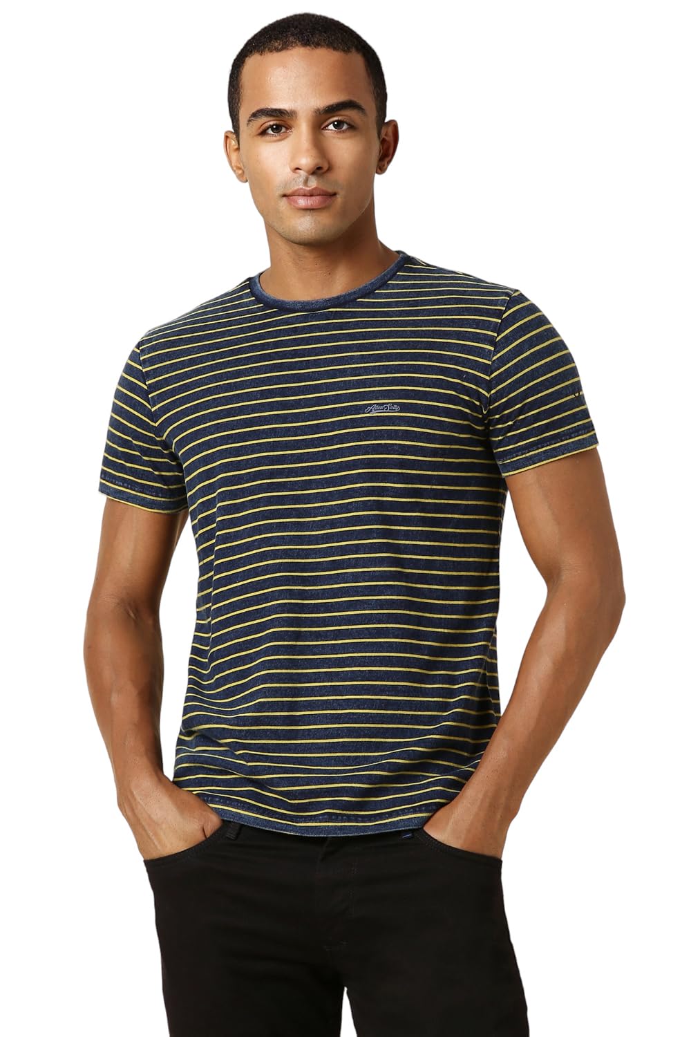 Allen Solly Men Striped Casual Half Sleeve Short Sleeve Crew Neck T-Shirt