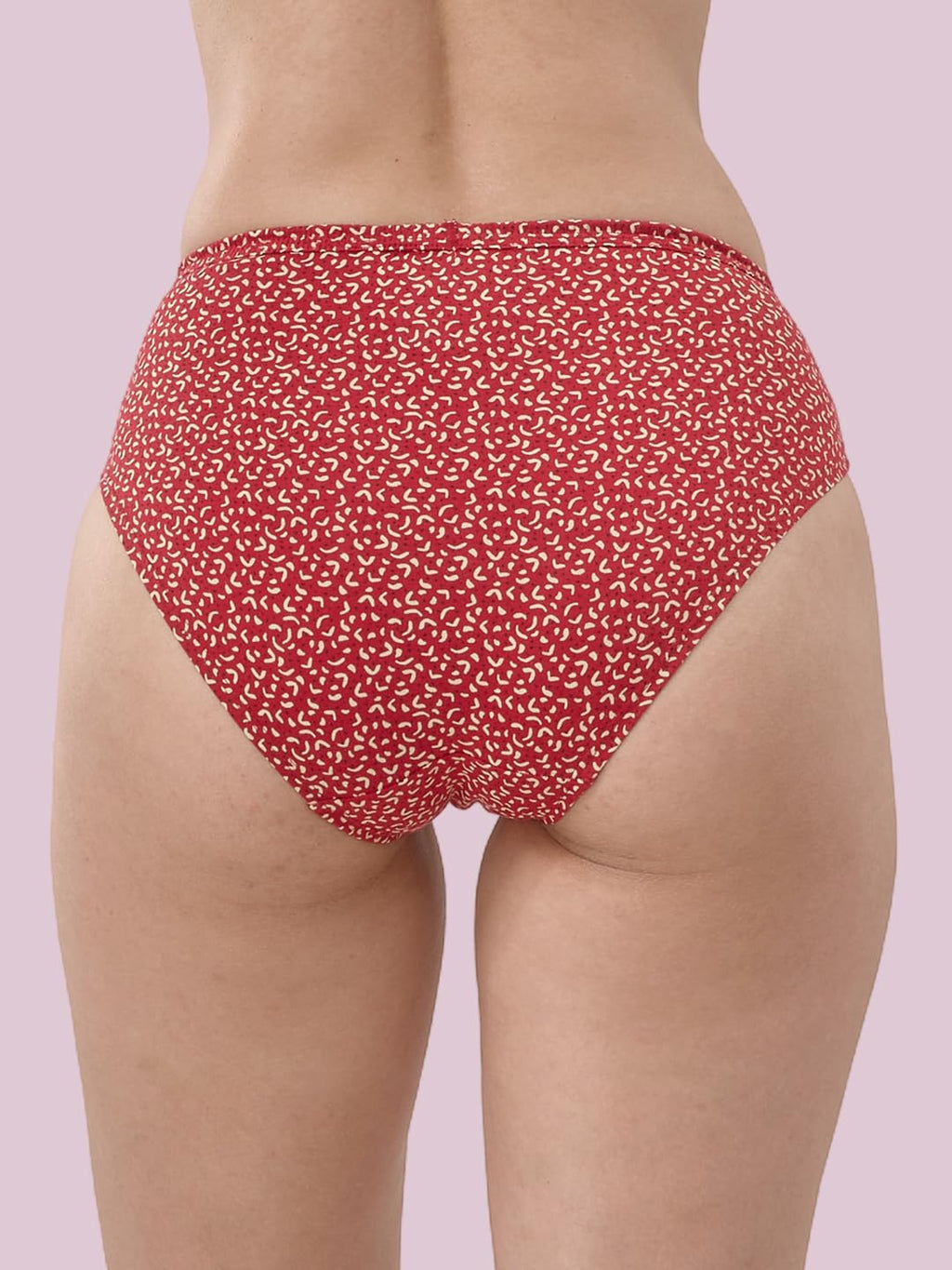 Lyra Pack Of 4 Printed Hipster Panties Multicolour