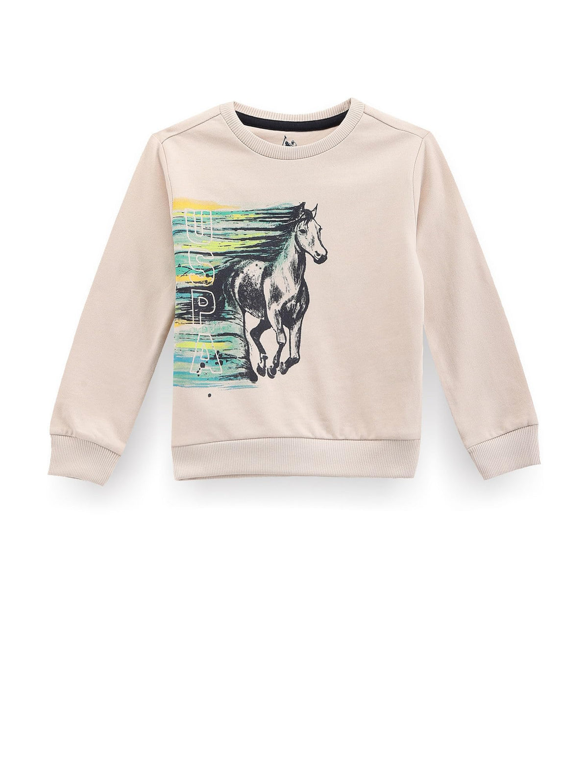 U.S. Polo Assn. Kids Regular fit Cotton Crew Neck Sweatshirts (UKSWS0215_Beige_1314Y) 13-14