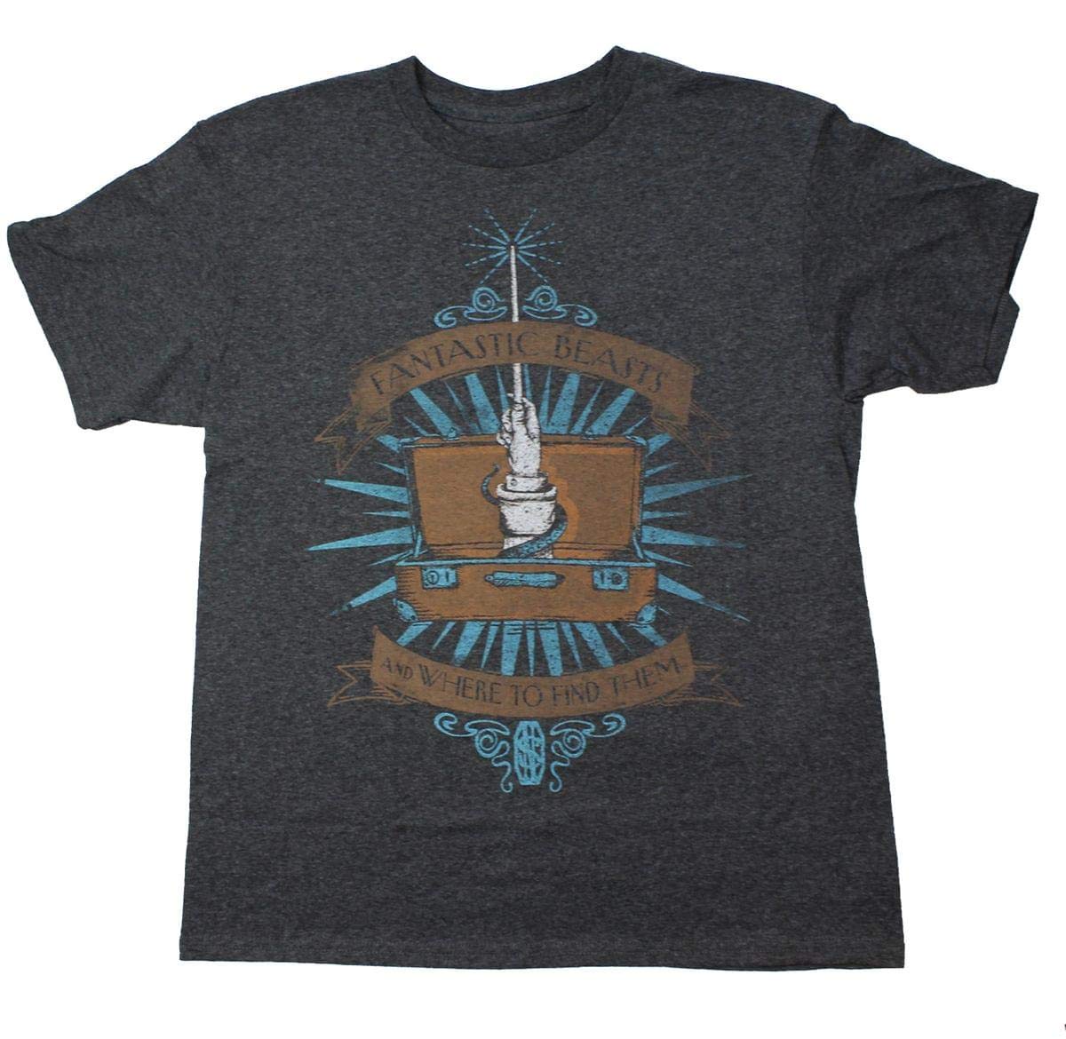 Bioworld Fantastic Beasts Youth Charcoal Logo T-Shirt: X-Small