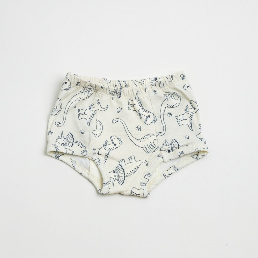 Adventure-Ready Organic Potty Training Underwear (4 Pack)