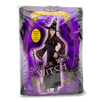 Spider Web Witch Costume Small/Medium 2-8