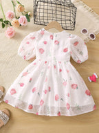 TAGAS Girls Princess Dress | Girl Dress |Dresses birthdaydress for Babygirls |