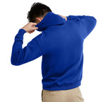 Hanes Men's Pullover EcoSmart Hooded Sweatshirt, Deep Royal, Small