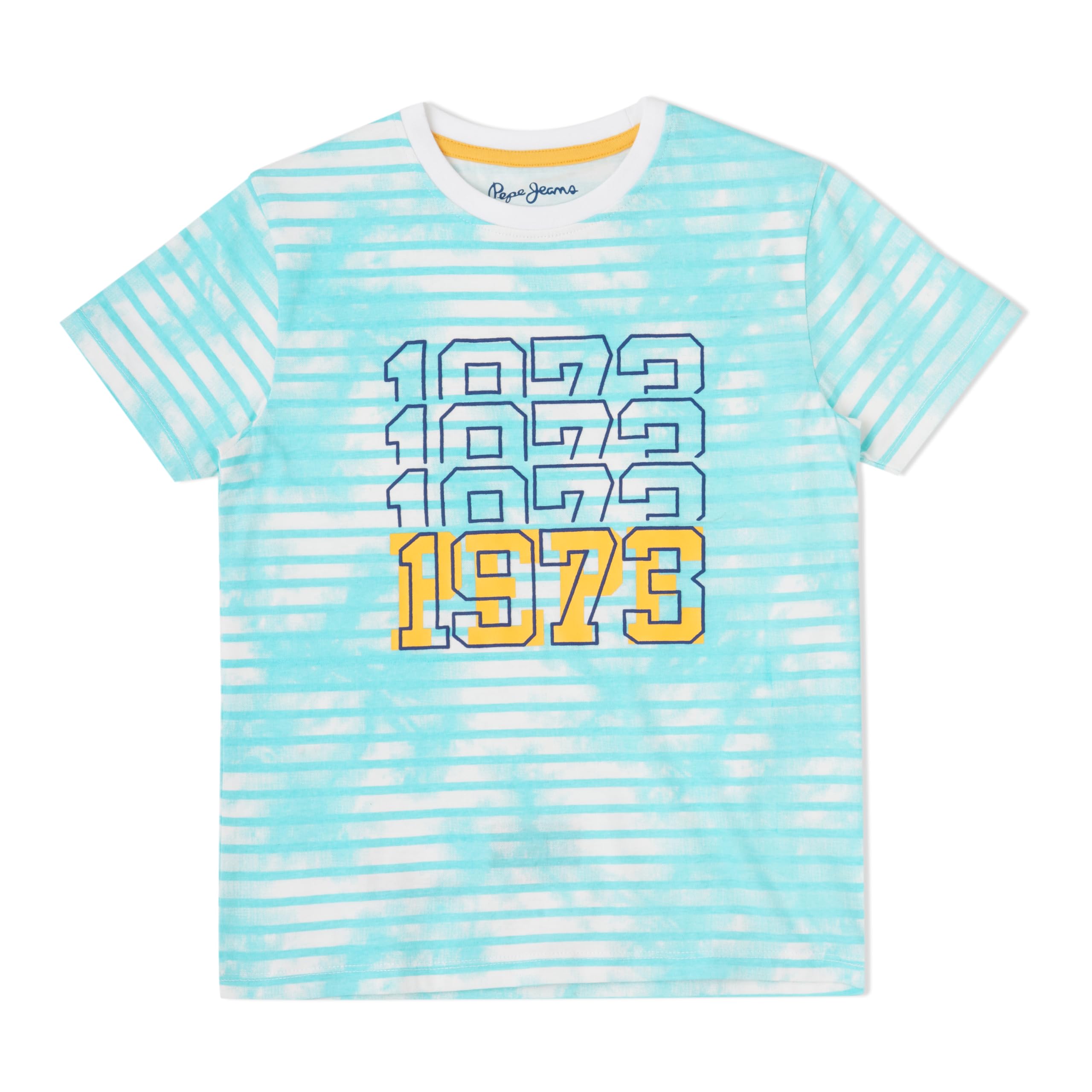 Pepe Jeans BoyS Regular Fit T-Shirt (Pb50364964012_Sea Green