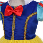 Dressy Daisy Toddler Little Girls' Princess Costume Fancy Dresses Up Halloween Party with Gold Threads Size 3 B