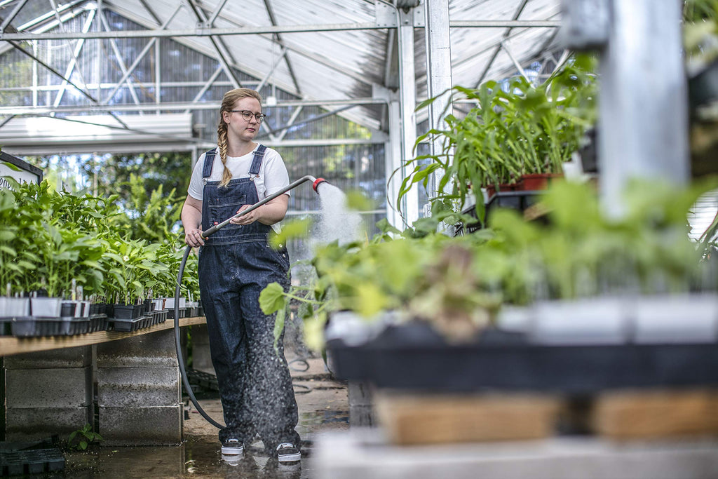 Dickies womens Denim Bib overalls, Dark Indigo, X-Small US