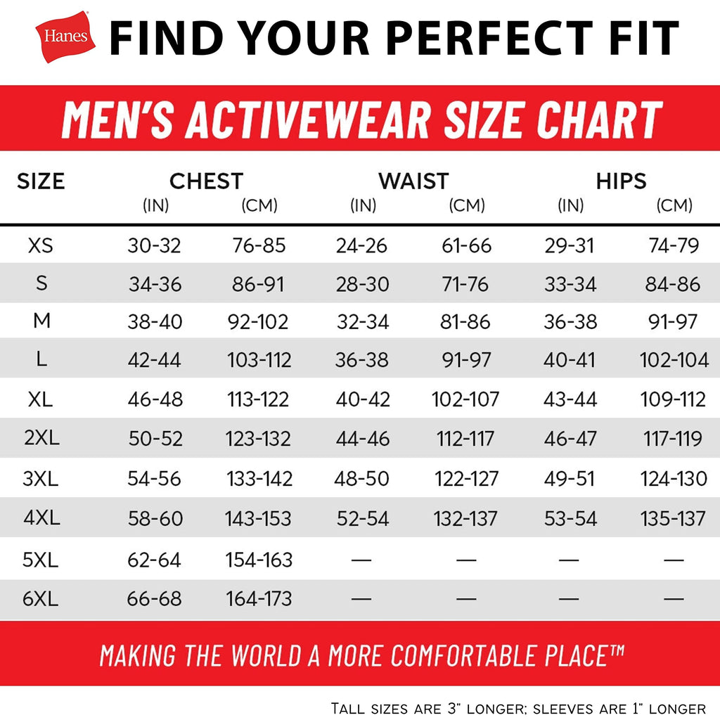 Hanes Men's Pullover EcoSmart Hooded Sweatshirt, purple, 4X Large