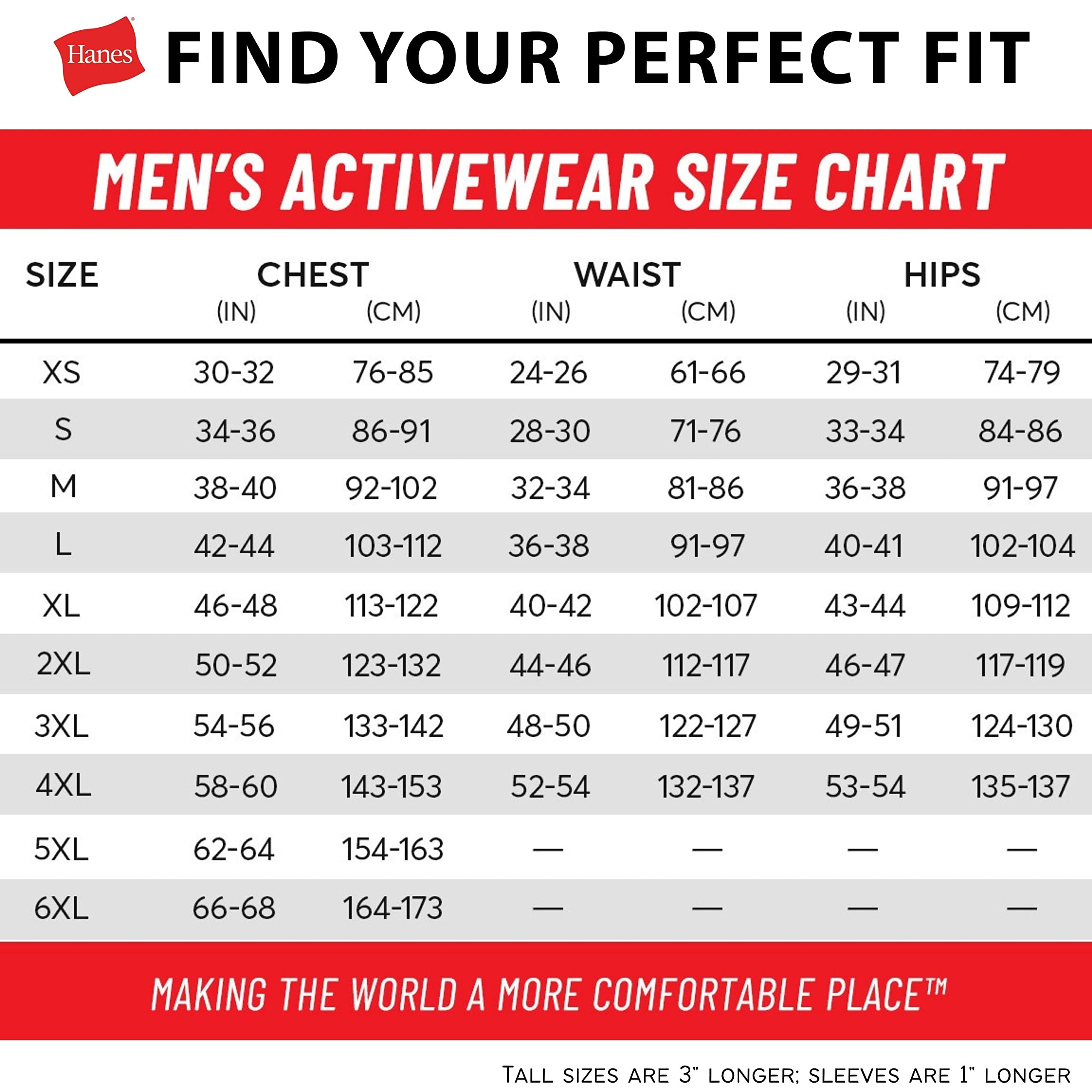 Hanes Men's Pullover EcoSmart Hooded Sweatshirt, purple, 4X Large