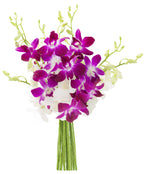 Kabloom PRIME OVERNIgHT DELIVERY - Exotic Opal OrchidA Bouquet of Purple and White Orchids from Thailand