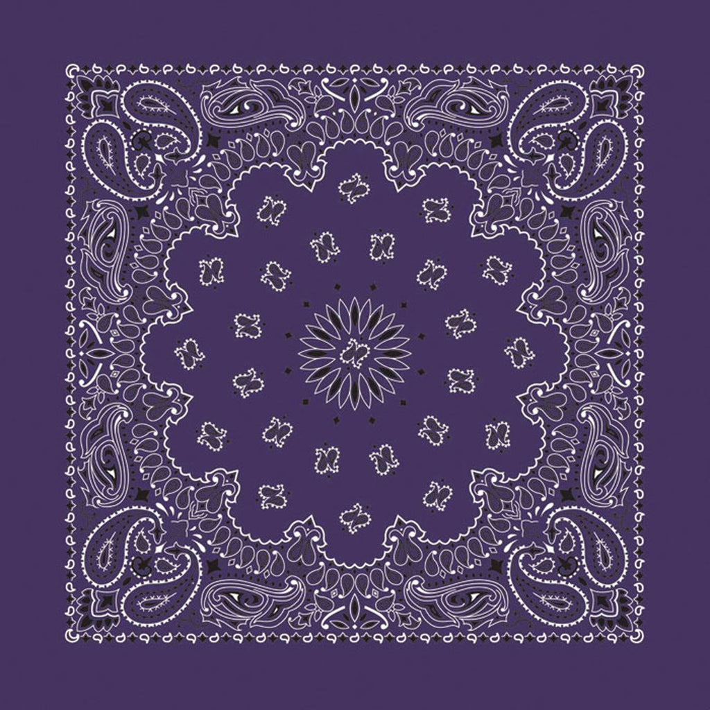Carolina 516999 Paisley Bandana- Plum