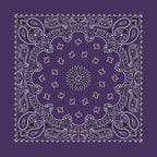 Carolina 516999 Paisley Bandana- Plum