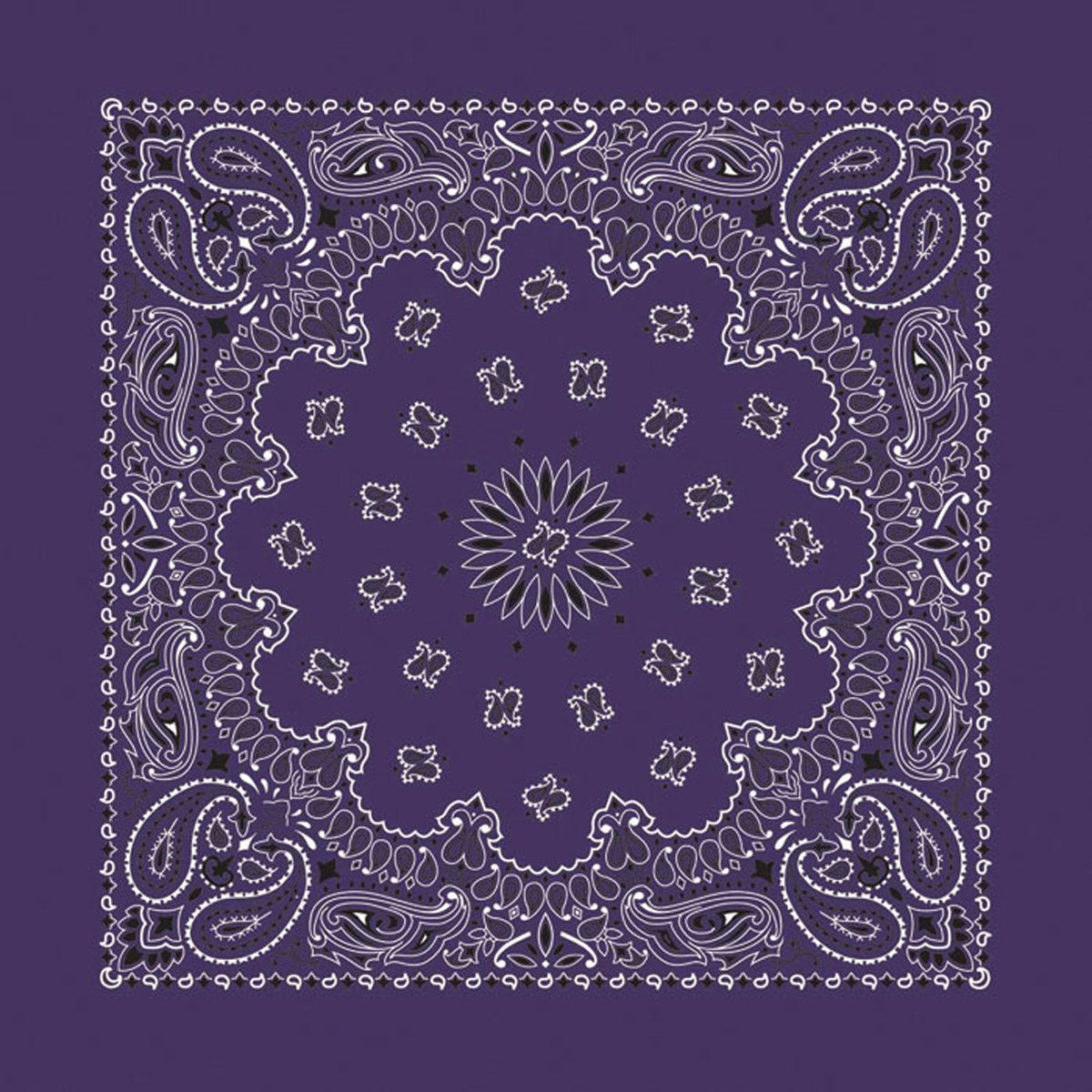 Carolina 516999 Paisley Bandana- Plum