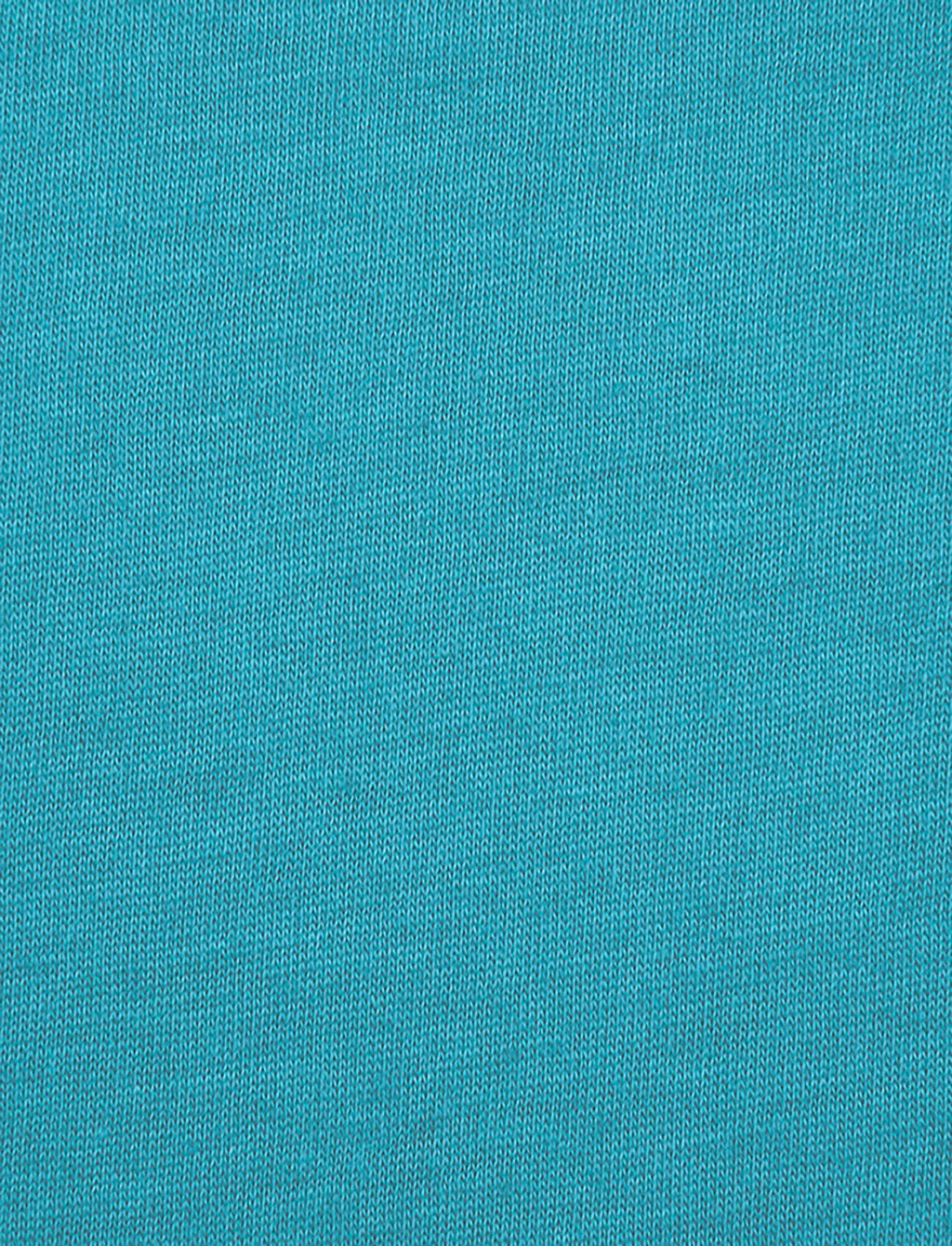 Next Level Mens Premium Fitted CVC Crew Tee (N6210) Turquoise xs