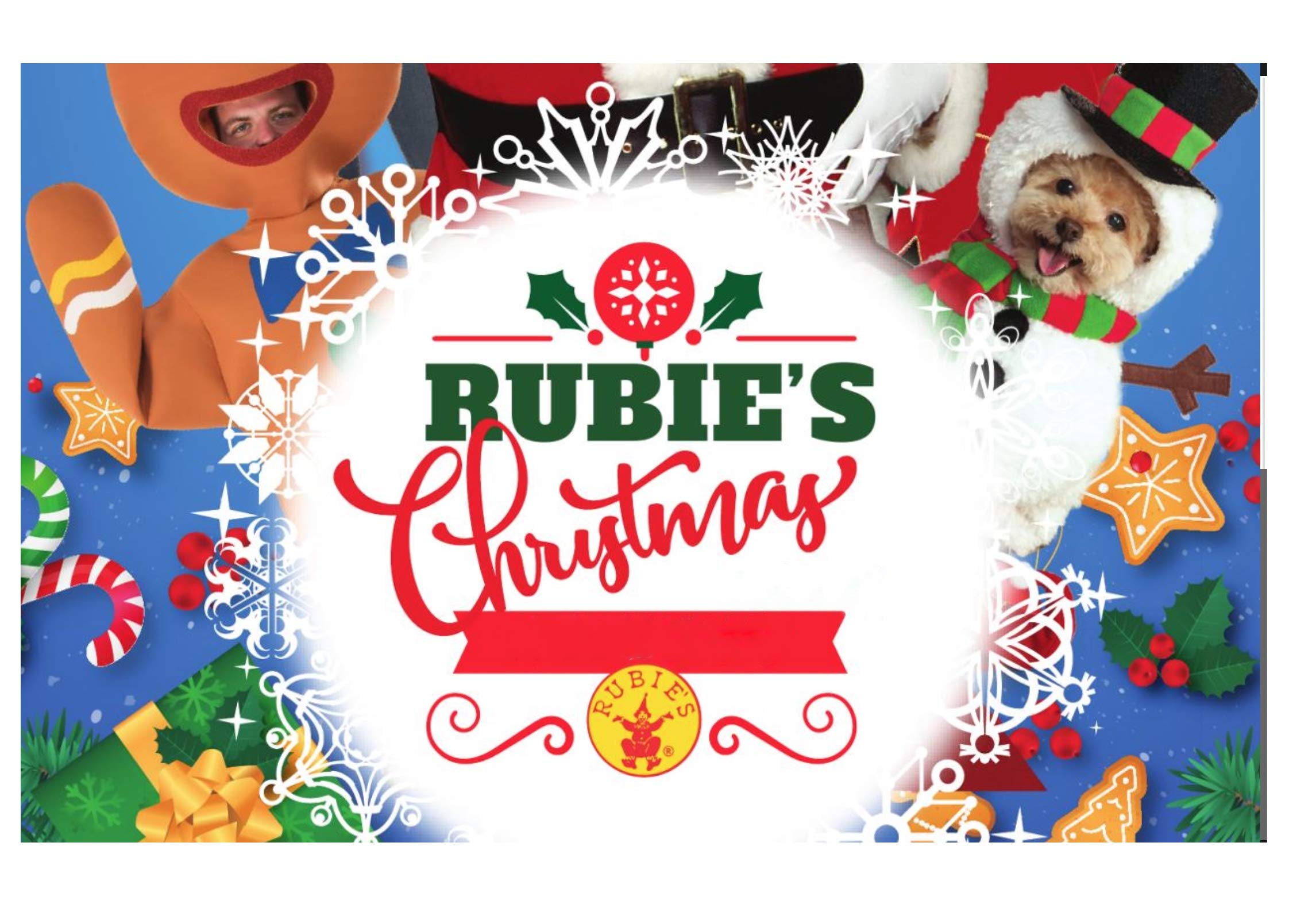 Rubies Men's Velour Santa Bag Costume Accessory, Red, One Size US for Themed Parties and Halloween