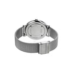 Skagen Women's Signatur Two-Hand Silver Stainless Steel Mesh Band Watch (Model: SKW2785)