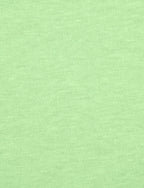Next Level 6210 Mens Mens cVc Tee Apple green