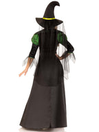 3 PC.Storybook Witch,dress with tiered glitter tulle,hat w/veil and long petticoat MED/LGE BLACK/GREEN
