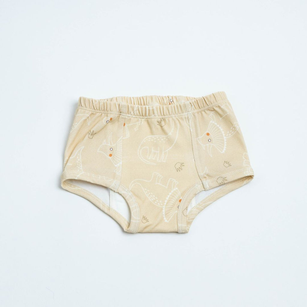 Adventure-Ready Organic Potty Training Underwear (4 Pack)