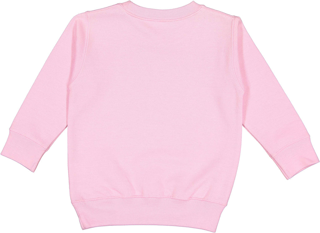 RABBIT SKINS Toddler Fleece Long Sleeve Pullover Sweatshirt, Pink, 2T