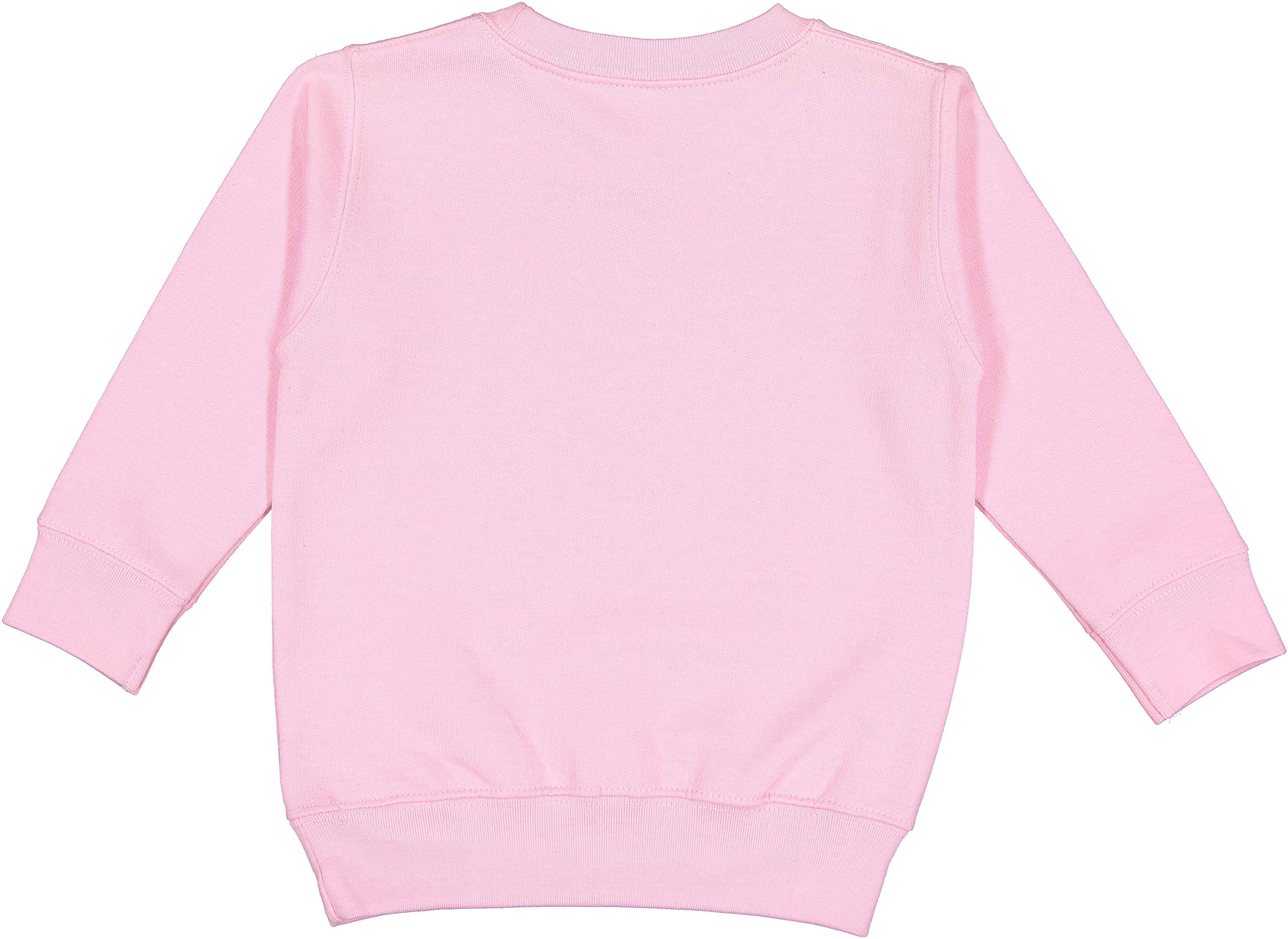 RABBIT SKINS Toddler Fleece Long Sleeve Pullover Sweatshirt, Pink, 2T