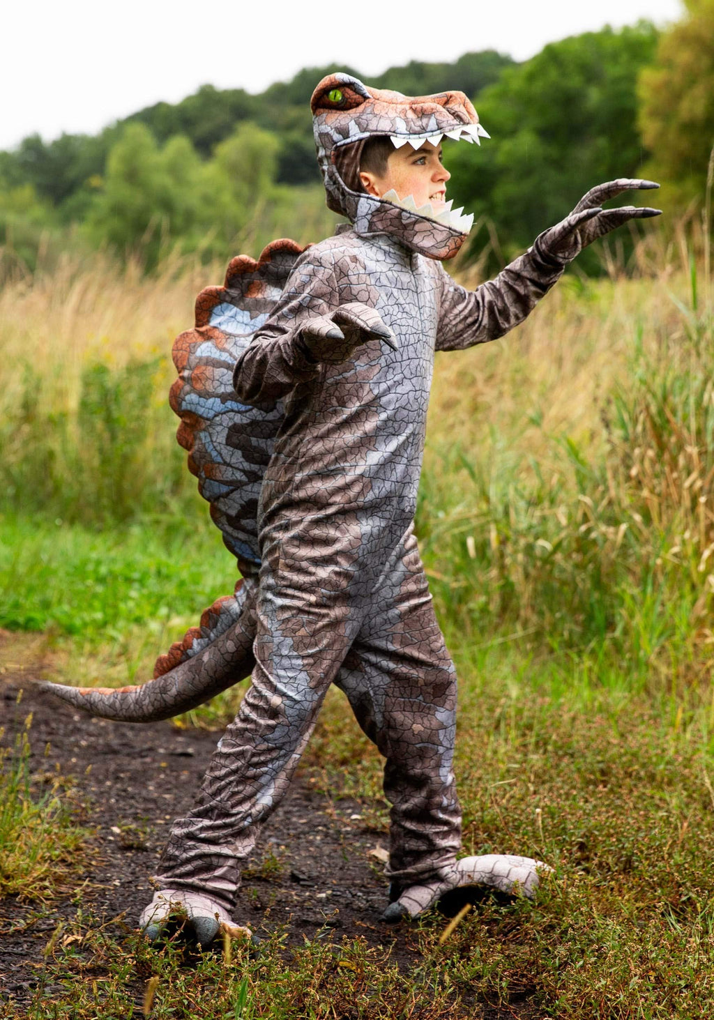 Kids Spinosaurus Costume, Prehistoric Childrens Dinosaur Gray Jurassic Halloween Outfit