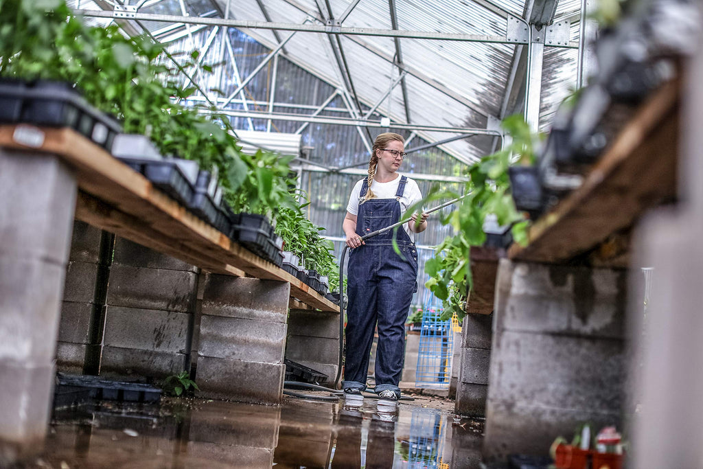 Dickies womens Denim Bib overalls, Dark Indigo, Large US