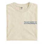 "Hey Quick Question Are You Kidding Me" Embroidered Comfort Colors T-Shirt – Funny Sarcastic Tee