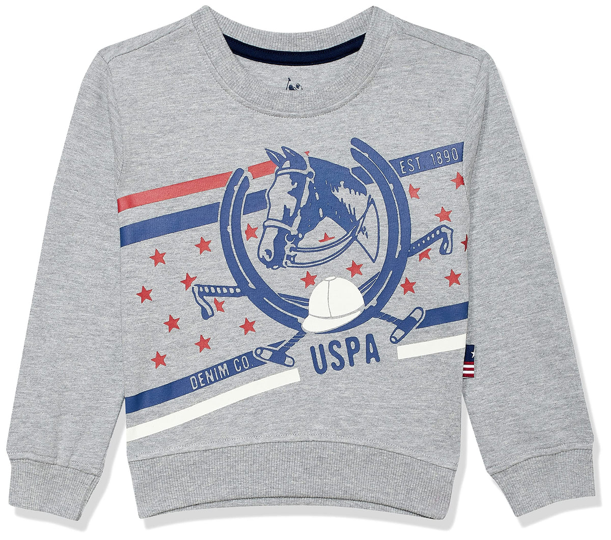 U.S. POLO ASSN. Kids UKSWSON0018 Roundneck Sweatshirt, 12T 12