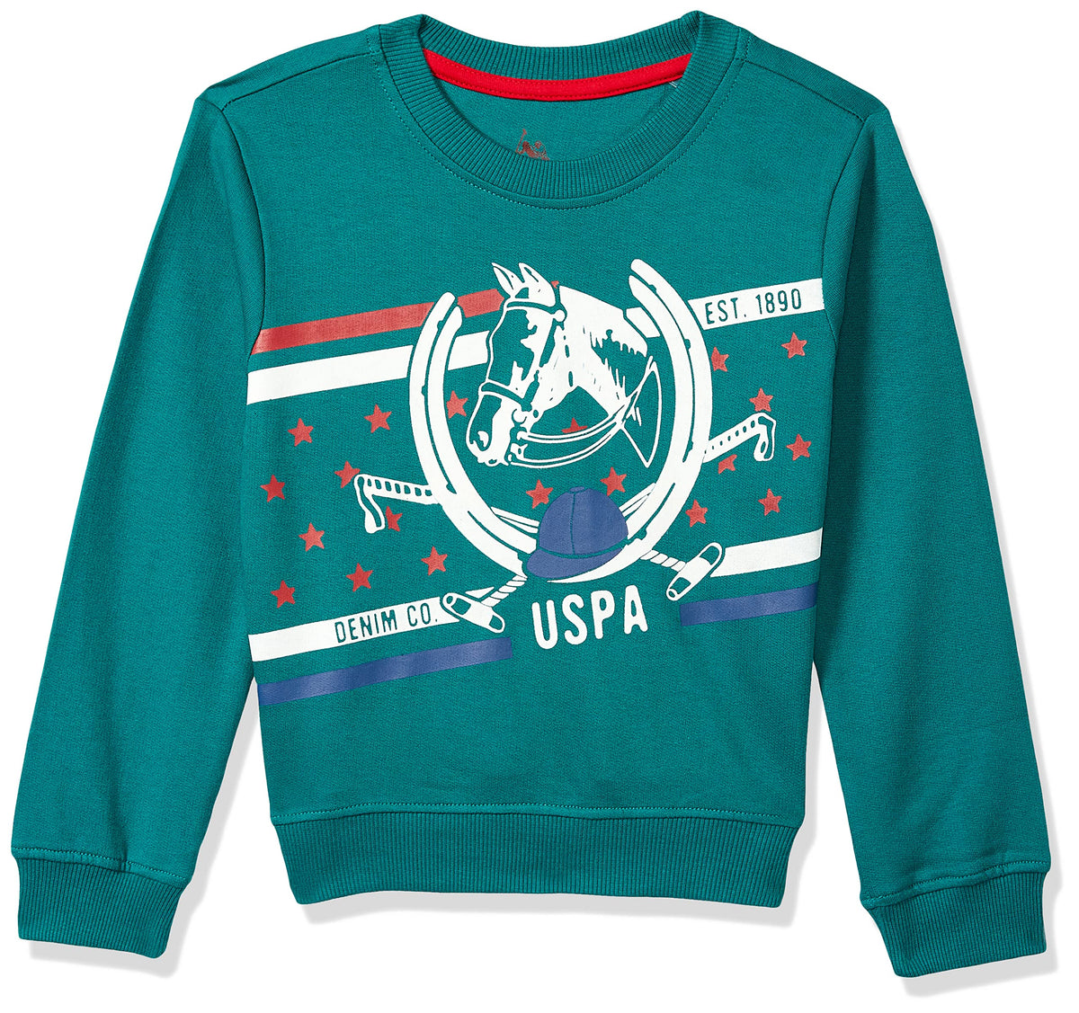 U.S. POLO ASSN. Boys Cotton Turtle Neck Regular Fit Sweatshirt (Ukswson001436T_Green_36T) 36