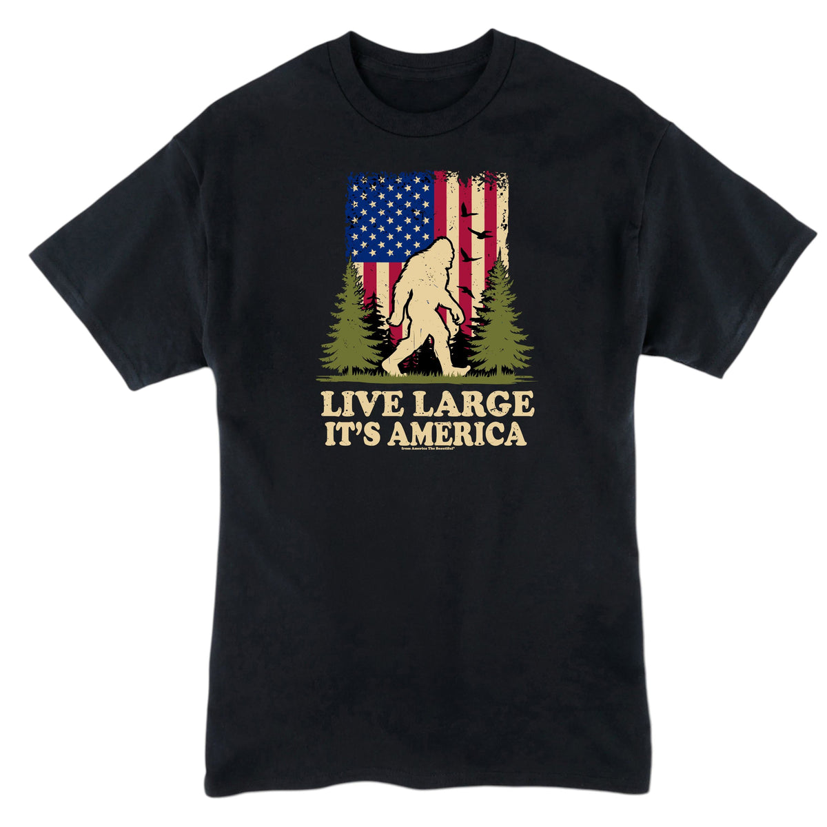 Bigfoot Message Tee 1.0 from America The Beautiful® - Y