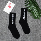 Sock1 Japanese Kanji Socks