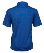 The Big Bang Polo