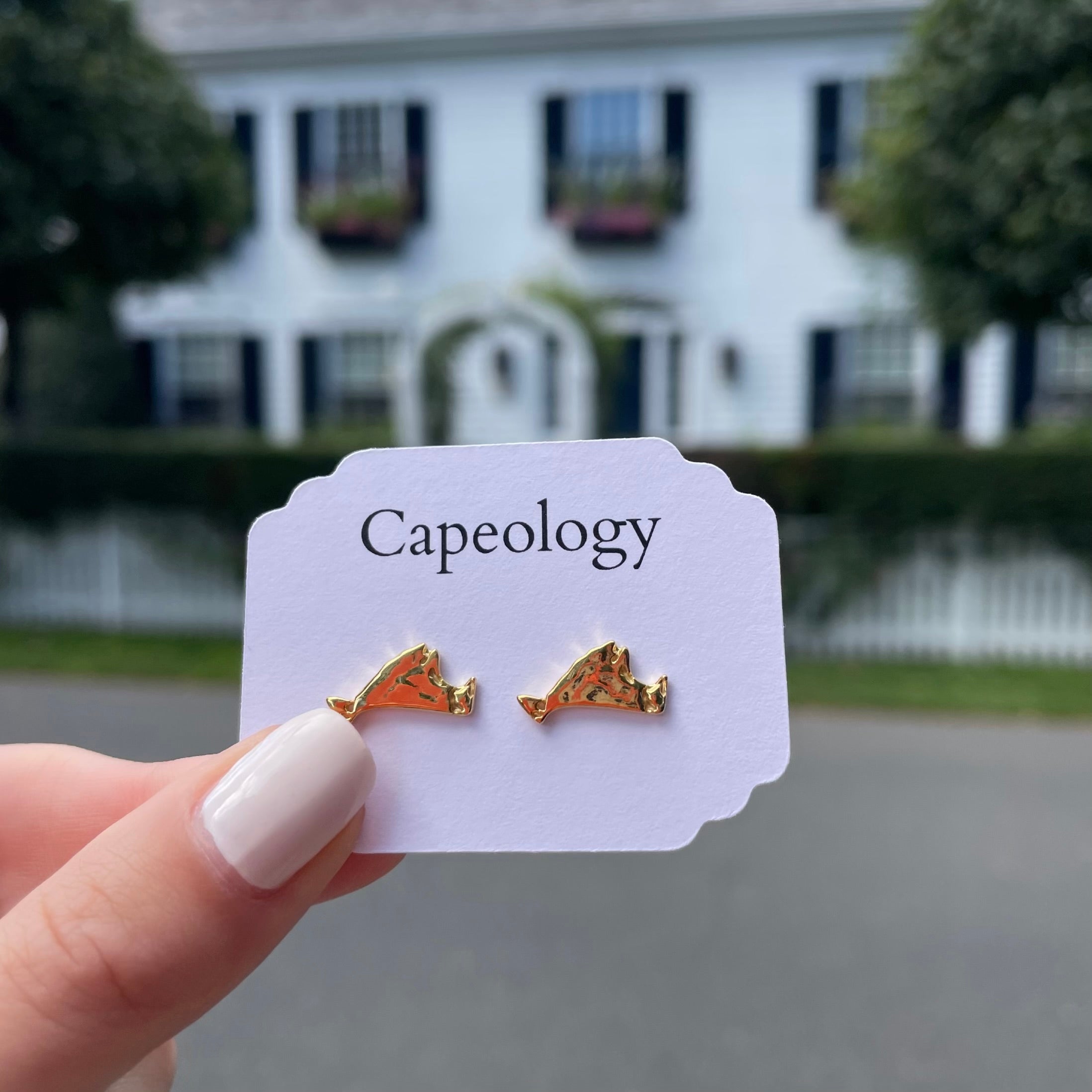 Martha's Vineyard Earrings