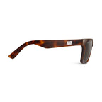 Evolution SUN Tortoise | Polarized Sunglasses
