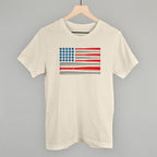 Baseball American Flag
