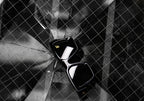 Lux Shades. Gloss Black. Polarized