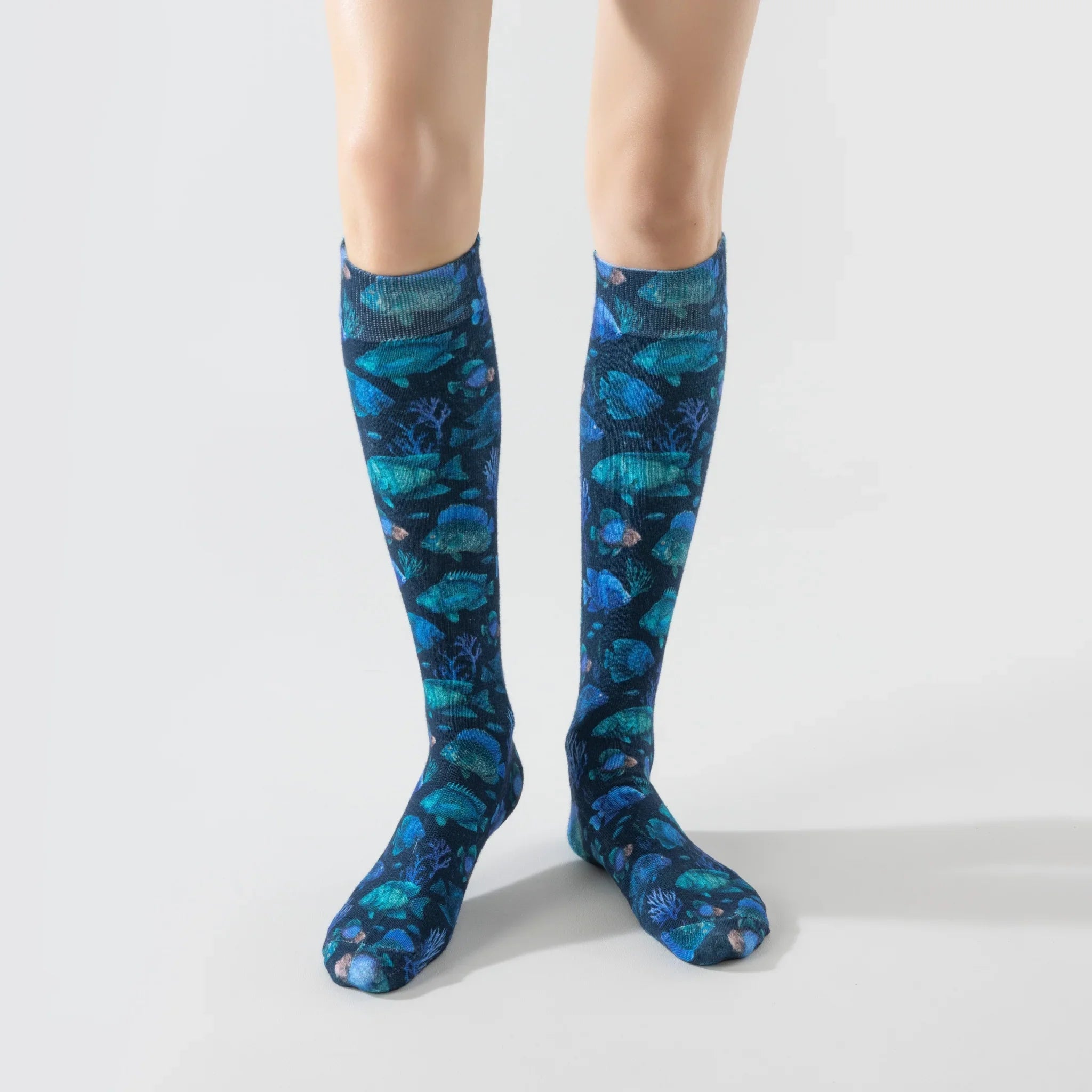 Midnight Reef